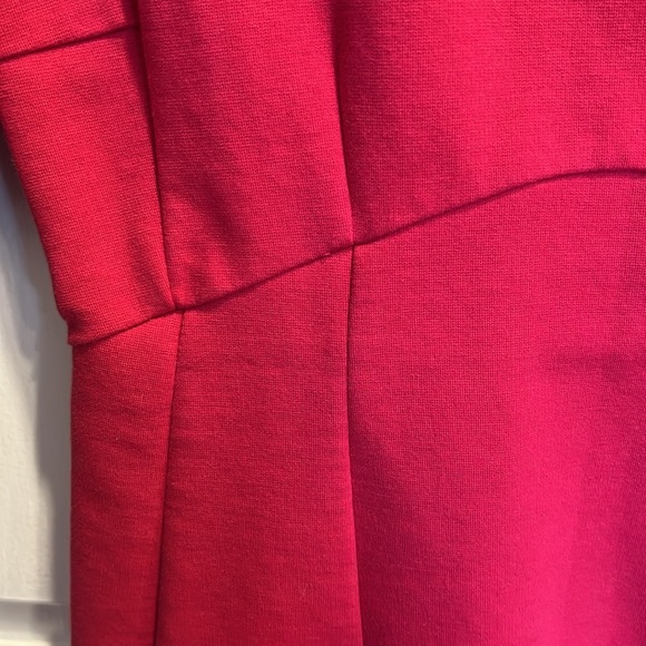 Gorgeous Zara Pink Dress - Picture 2 of 3